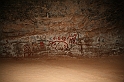 Kanary_2010 196